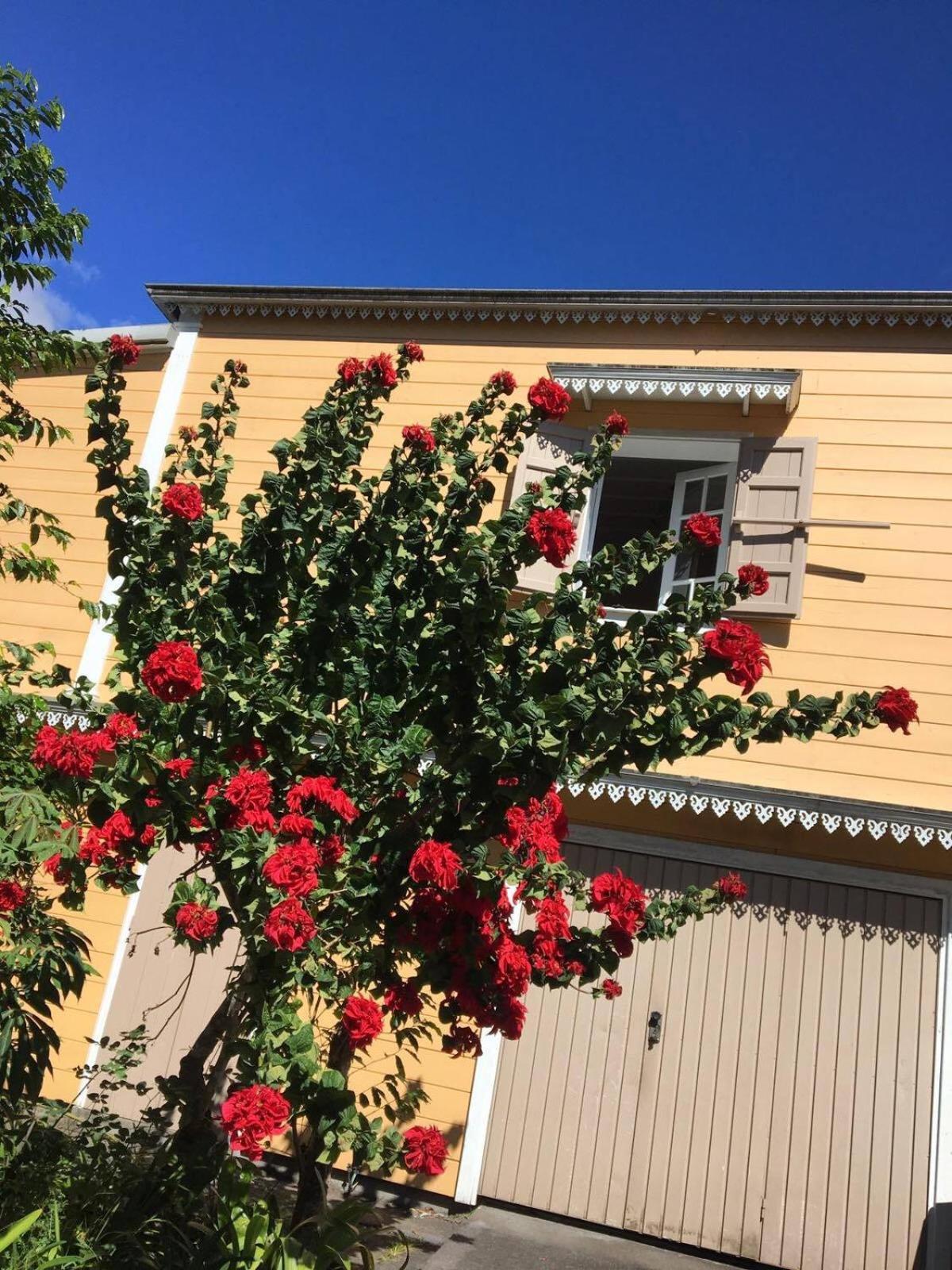 Relais Des Gouverneurs Salazie Kültér fotó